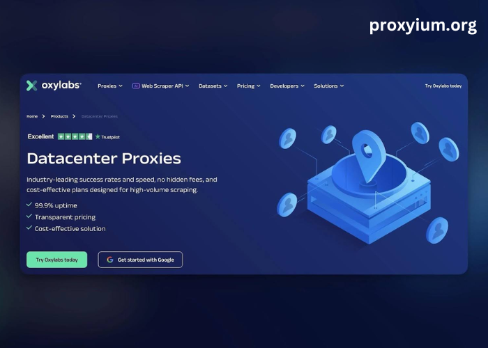 
Who Are the Best Datacenter Proxy Providers?