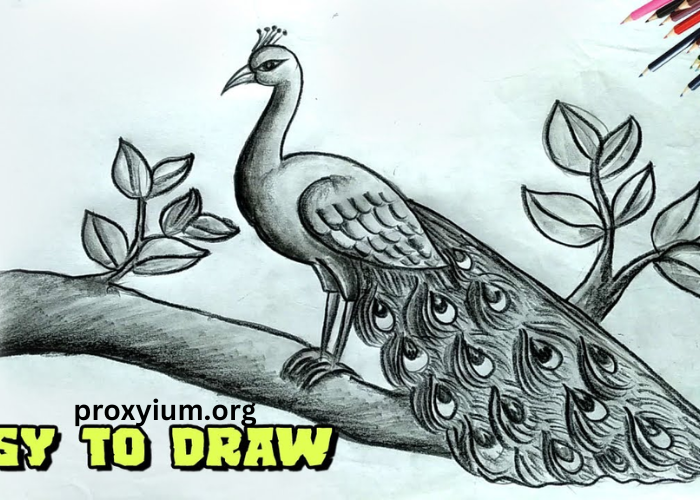 Mastering Easy:-mllwo5zbba= Peacock Drawing: A Comprehensive Guide for Beginners