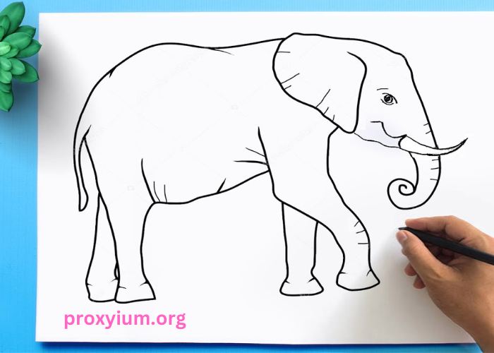 easy:8coumzthzms= Elephant Drawing