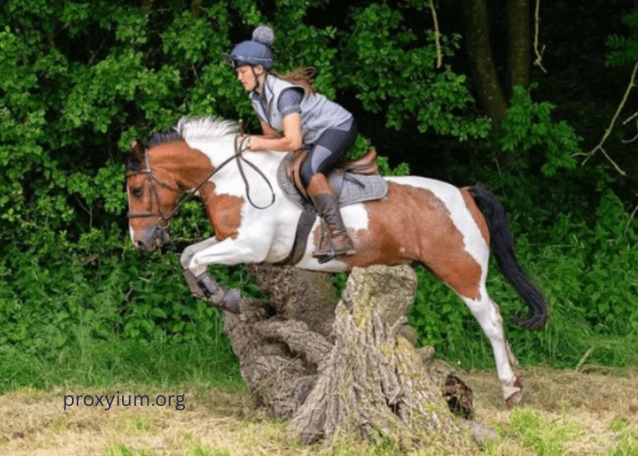 Innovations Transforming the Turf Industry